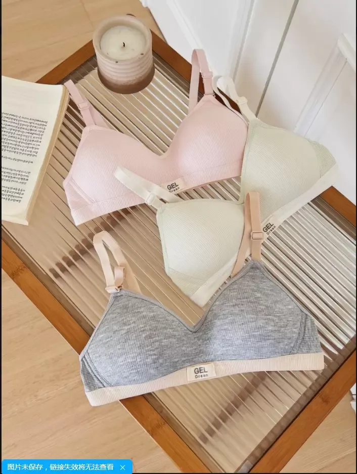 Wireless Push-Up Bra