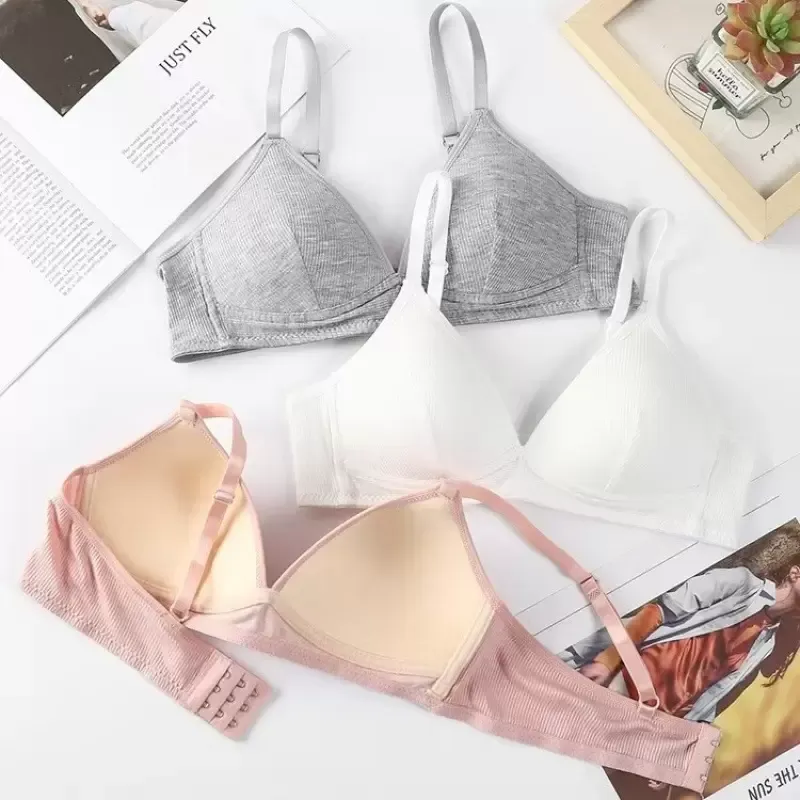 Wireless Triangle Bra 3