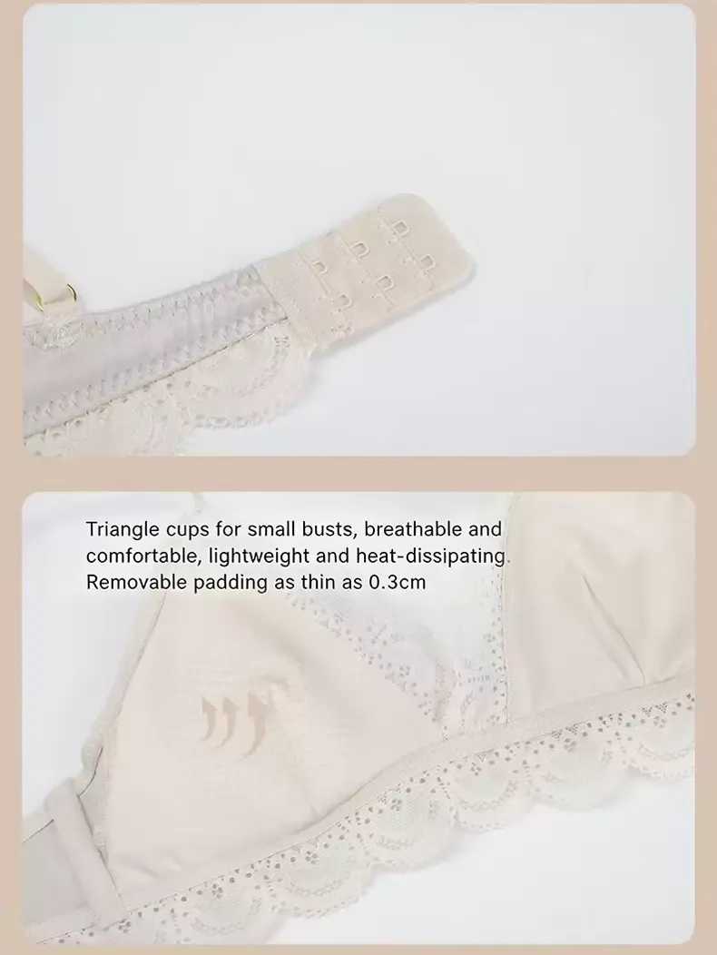 Korean Lace Triangle Bra 11