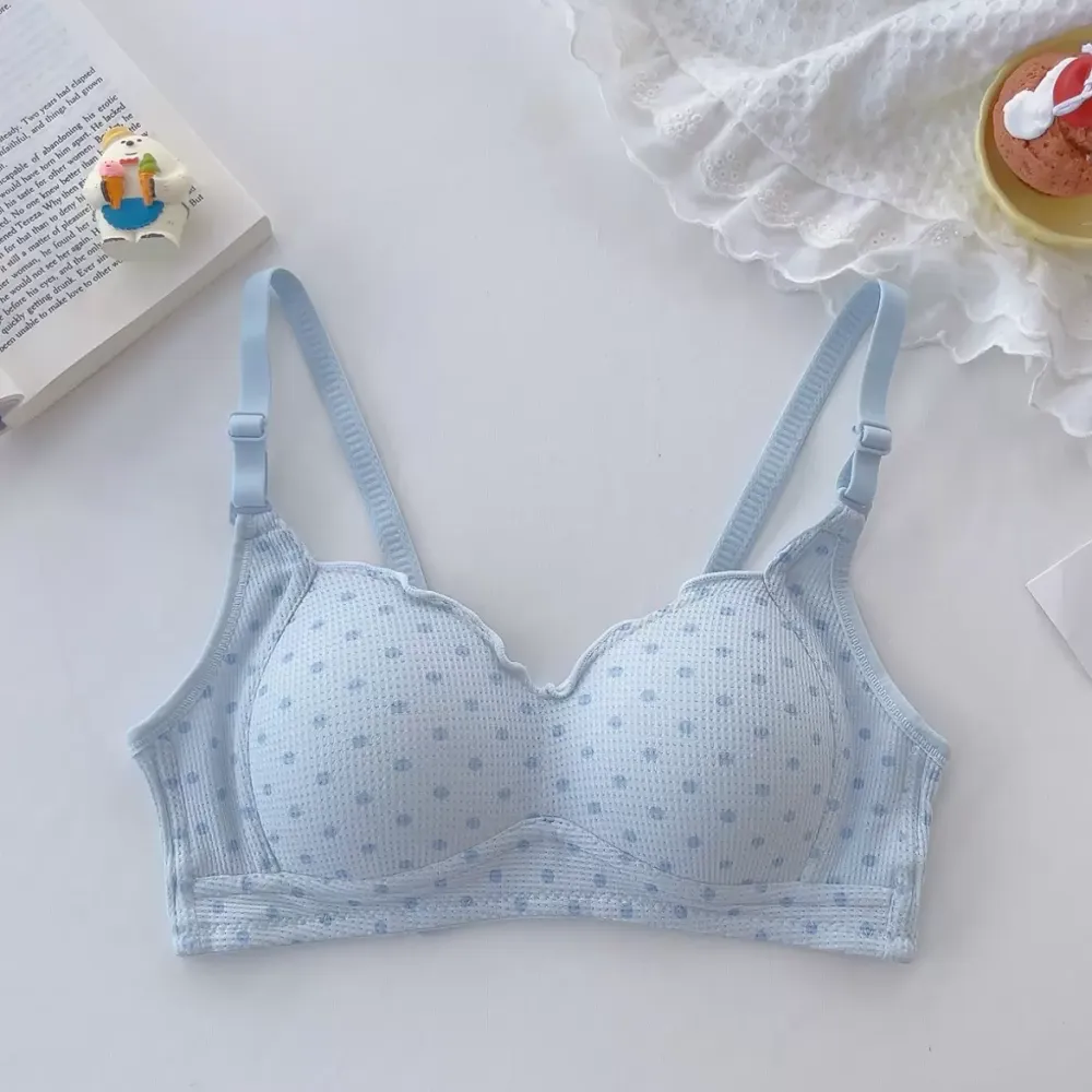 Japanese Lace Push Up Bra Set 4