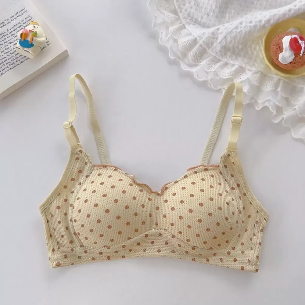 Japanese Lace Push Up Bra Set 5