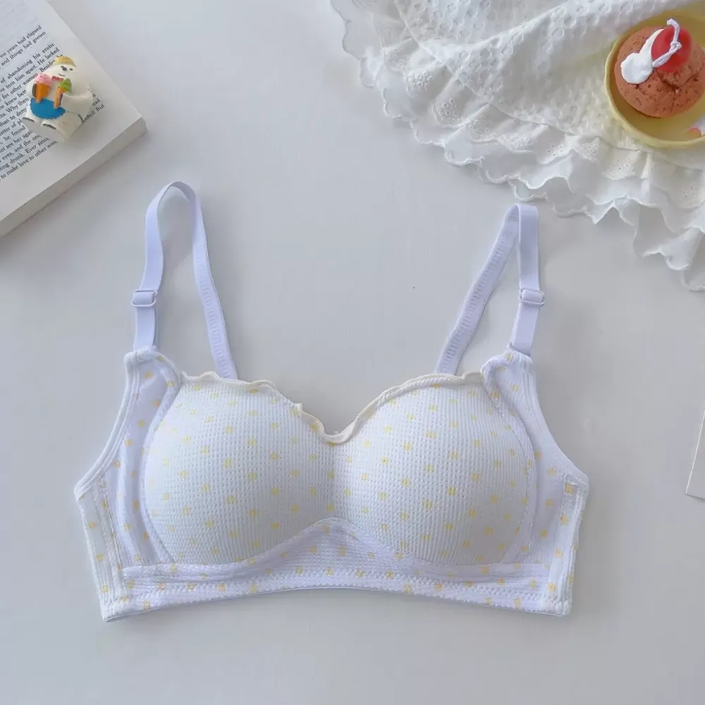 Wireless Push Up Bra 7