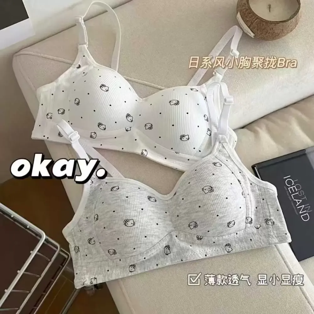 Wireless Push-Up Bra 3