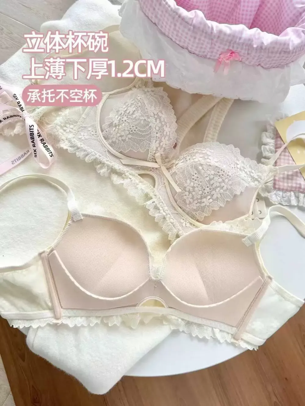 Embroidered Lace Push Up Bra 10