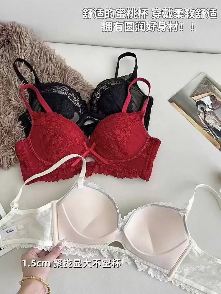 Embroidered Lace Push Up Bra 13