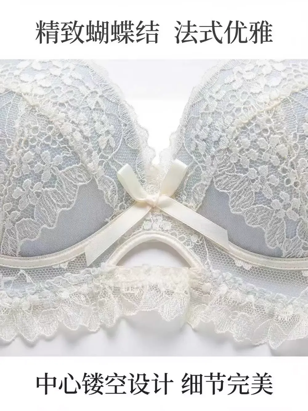 Embroidered Lace Push Up Bra 14